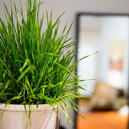 Riscos Appartamento Torremolinos