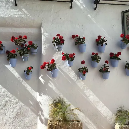Riscos Apartmán *