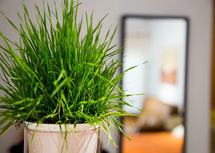 Riscos Апартаменти Торремолінос