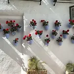 Riscos Apartamento *